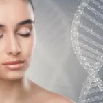 Leksikon for feilfri hud: STAMCELLER